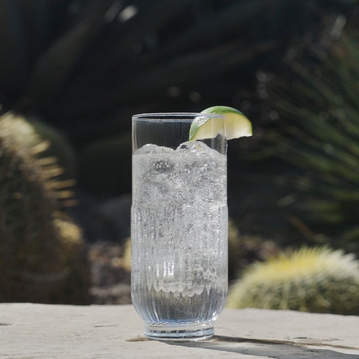 Simplehuman Nosotros Tequila Blanco cocktail on ice with lime, set outdoors near agave plants.